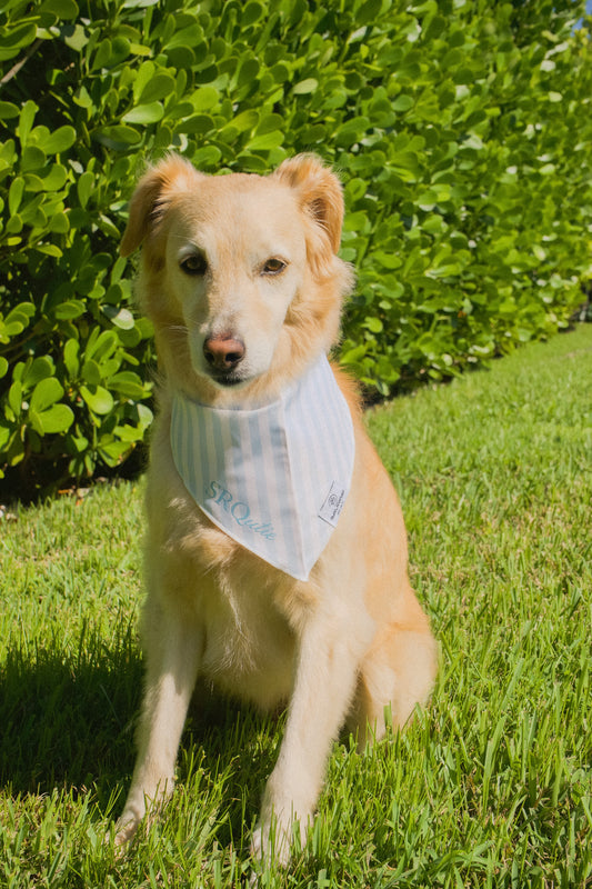 SRQutie Dog Bandana