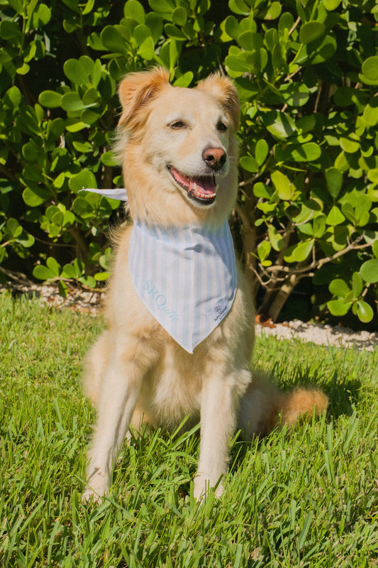 SRQutie Dog Bandana
