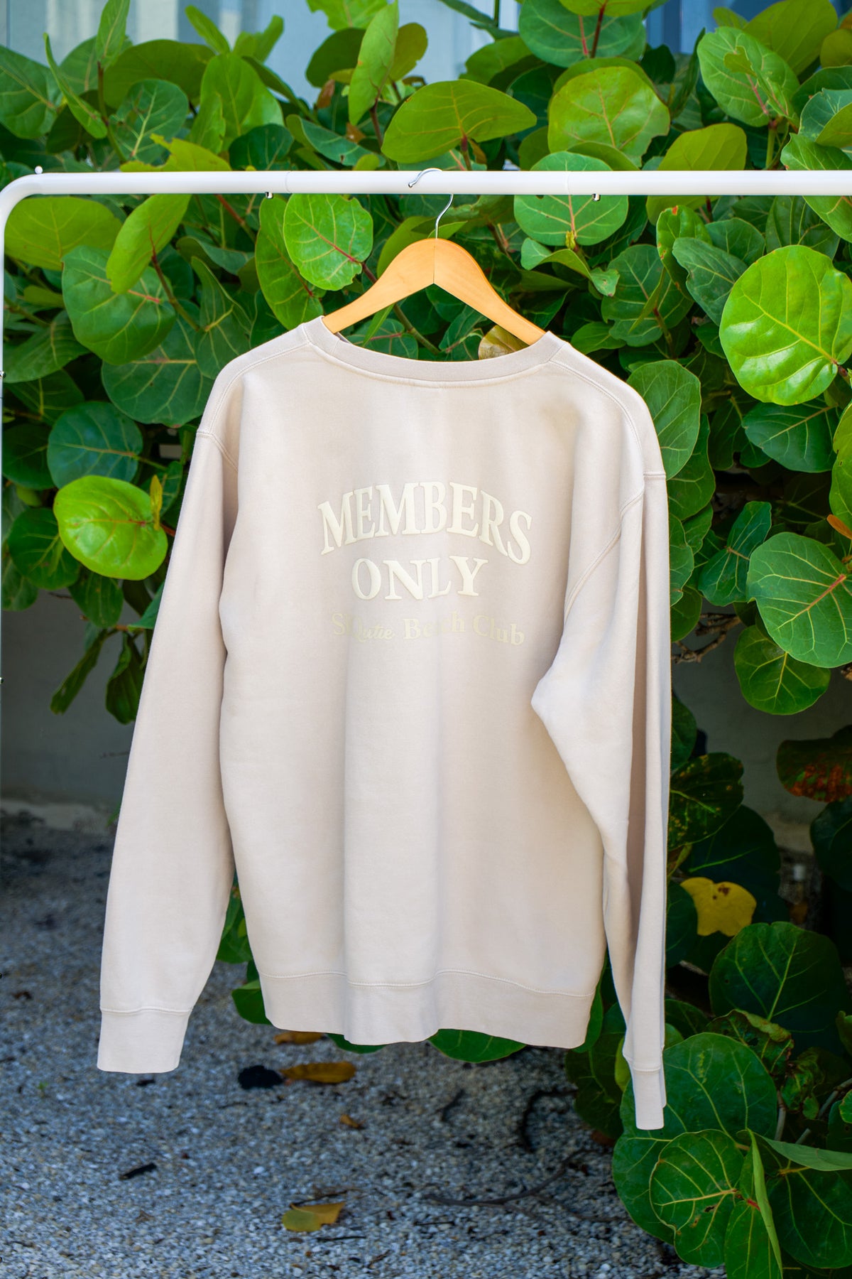 Back view of the Members Only SRQutie Sweatshirt