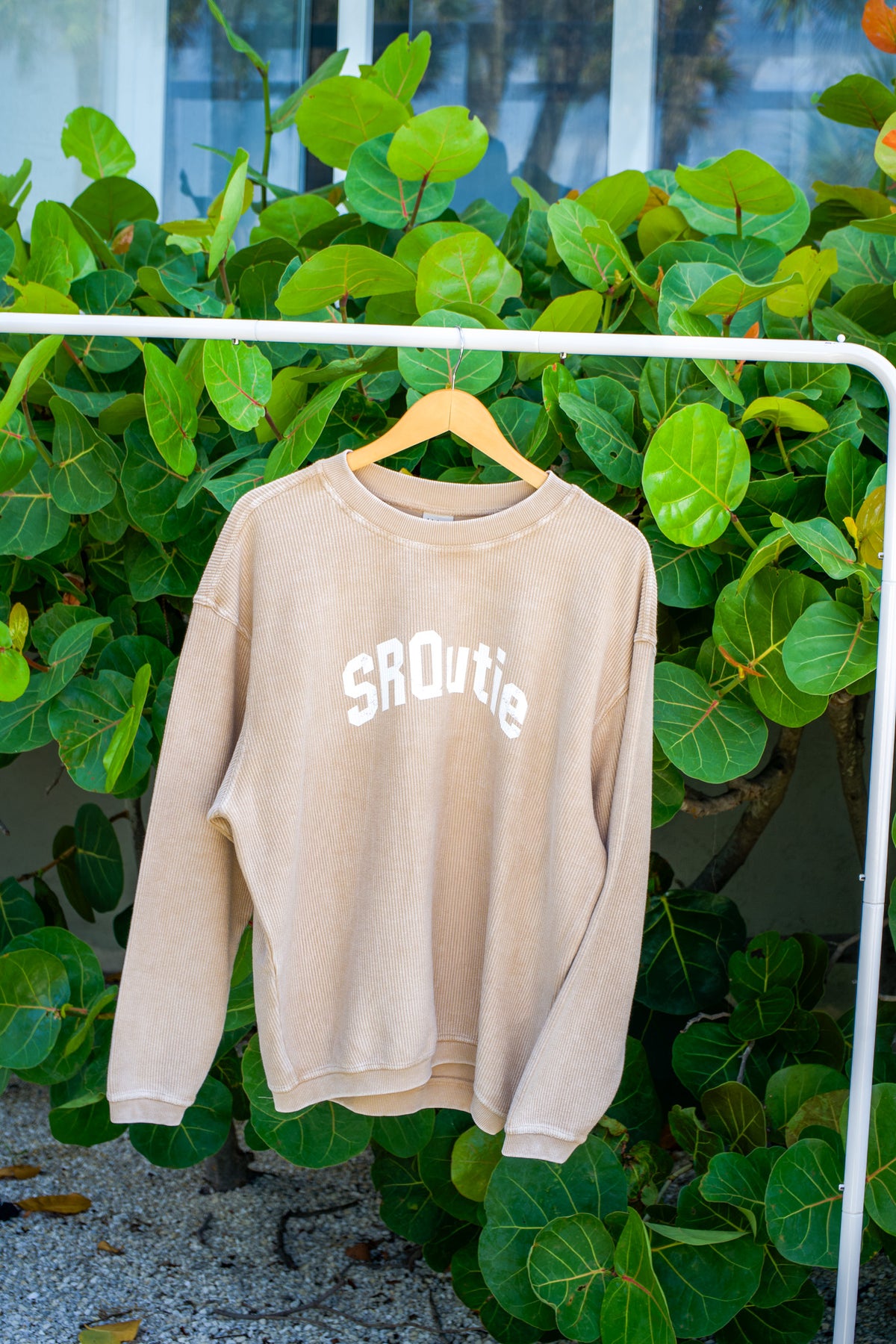 The women's SRQutie Ribbed Varsity Sweatshirt in Latte
