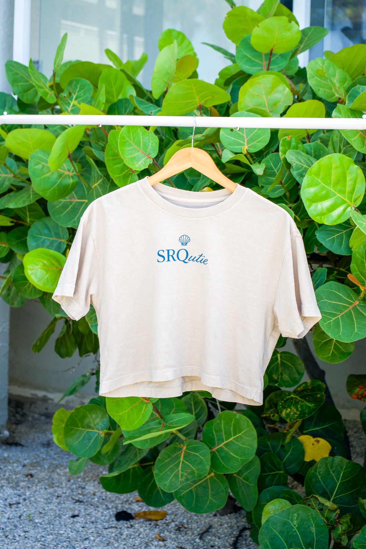 The women's Shell Icon SRQutie Cropped Tee